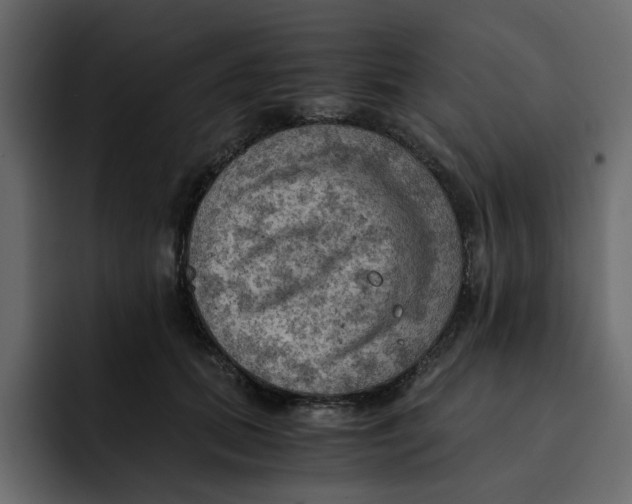 X0000092000655200710041008