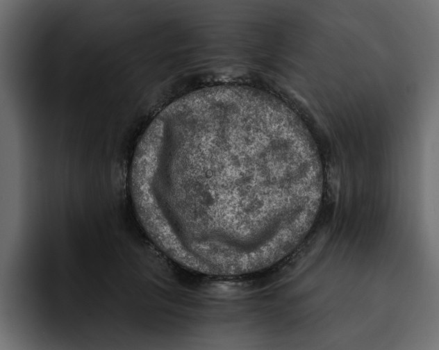 X0000092000657200710041008