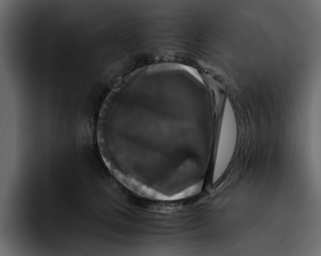 X0000092000661200710041008