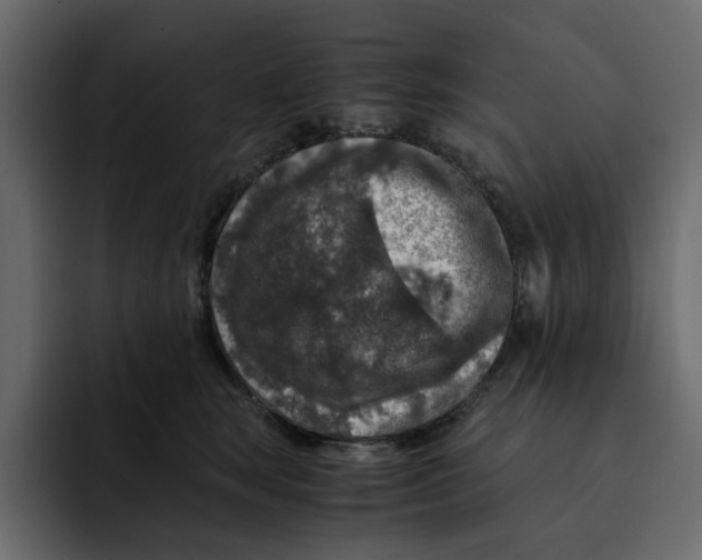 X0000092000663200710041008