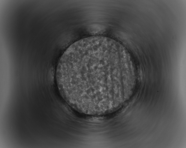 X0000092000664200710041008