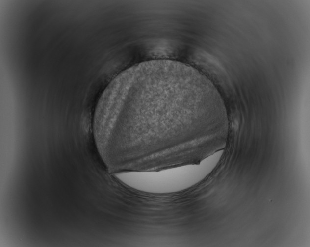 X0000092000665200710041008