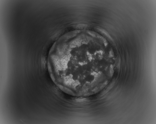 X0000092000669200710041008