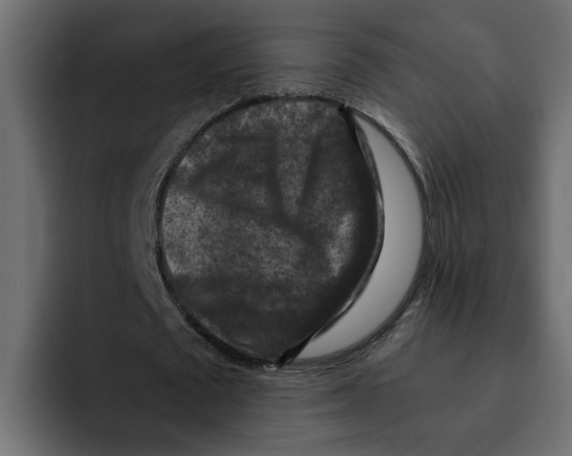 X0000092000673200710041008