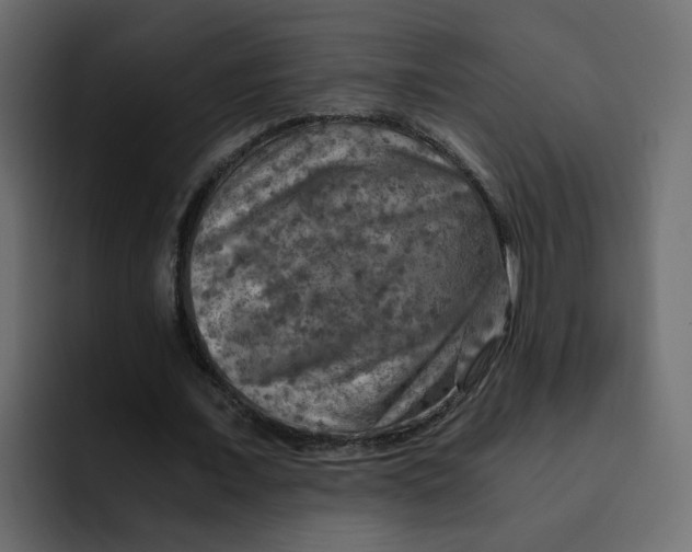 X0000092000675200710041008