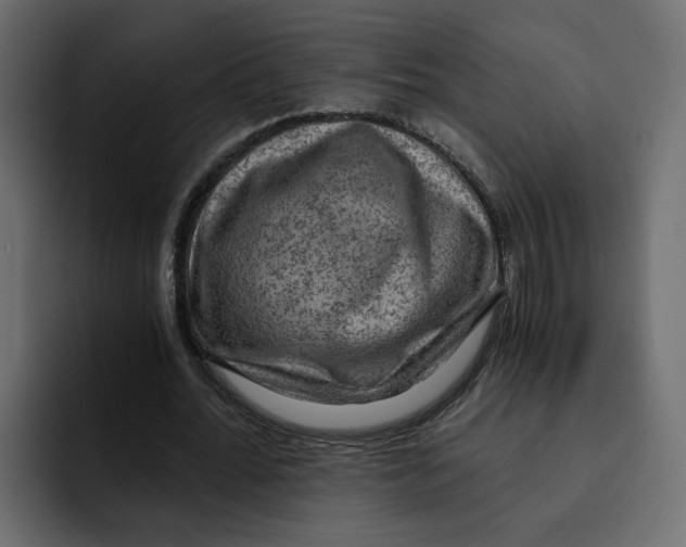 X0000092000676200710041008