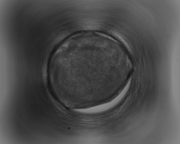 X0000092000677200710041008