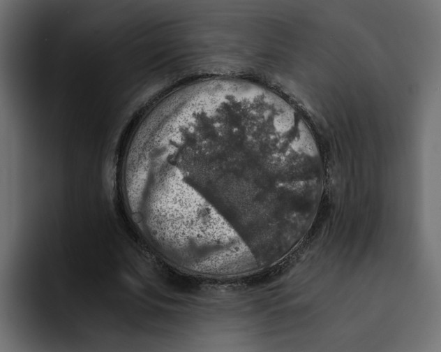 X0000092000679200710041008