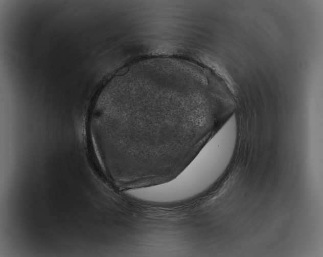 X0000092000681200710041008