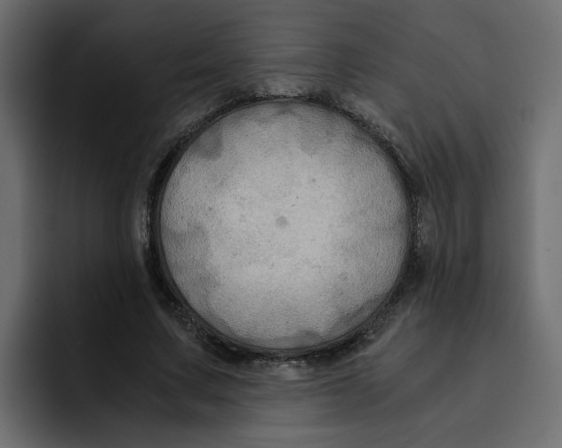 X0000092000683200710041008