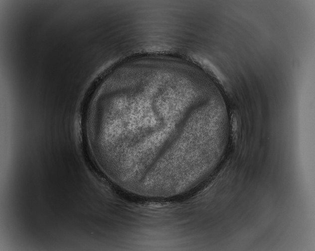 X0000092000684200710041008