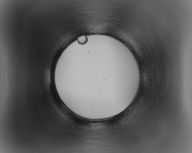 X0000092000686200710041008