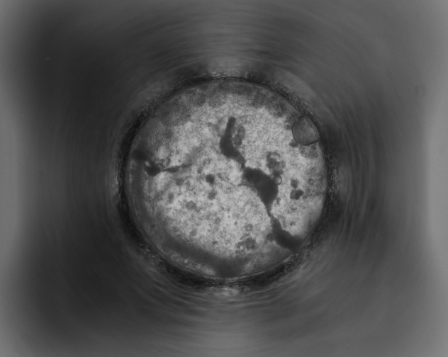 X0000092000687200710041008