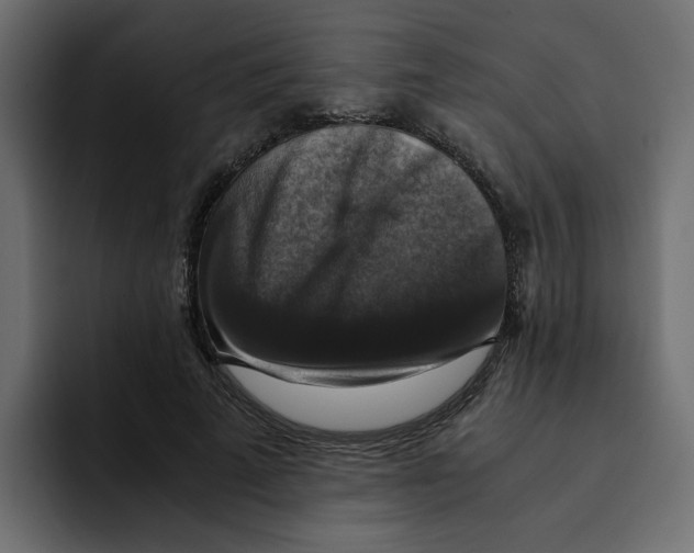 X0000092000689200710041008