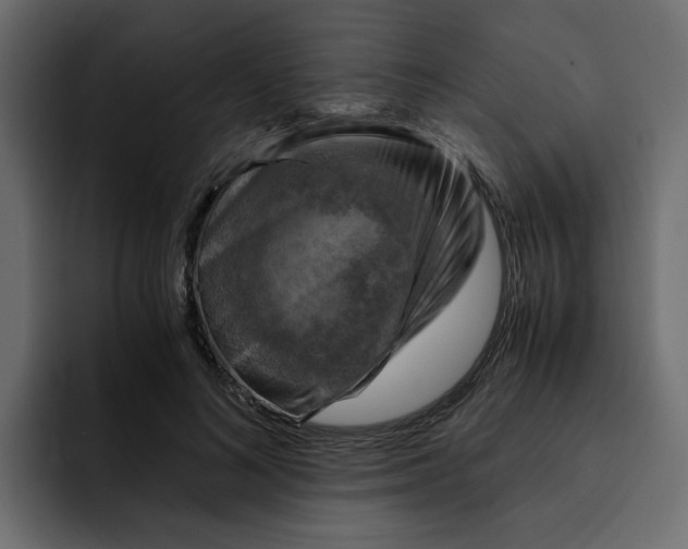 X0000092000692200710041008