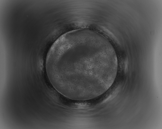 X0000092000693200710041008