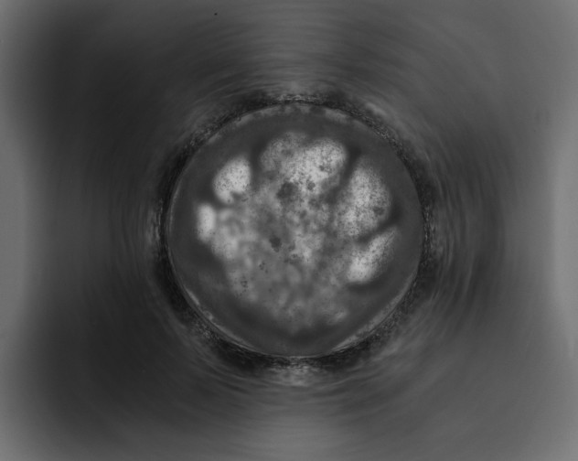 X0000092000695200710041008