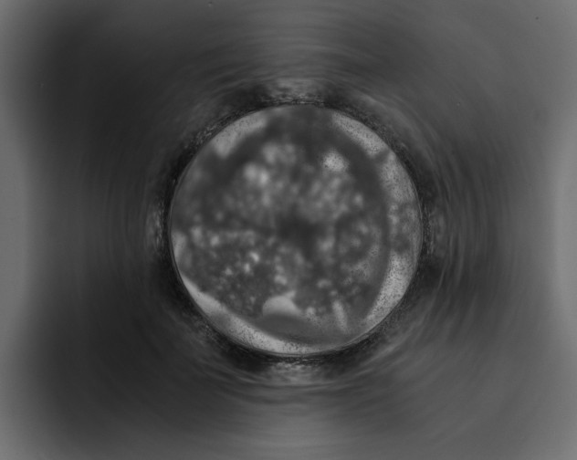 X0000092000699200710041008