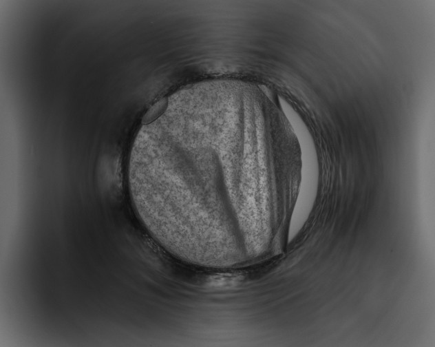 X0000092000700200710041008