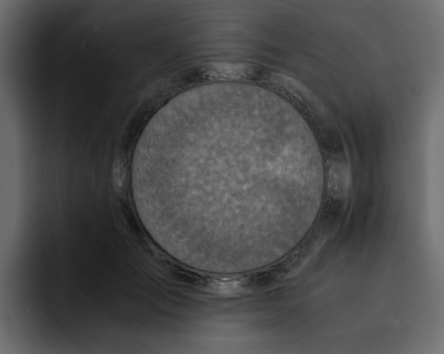 X0000092000701200710041008