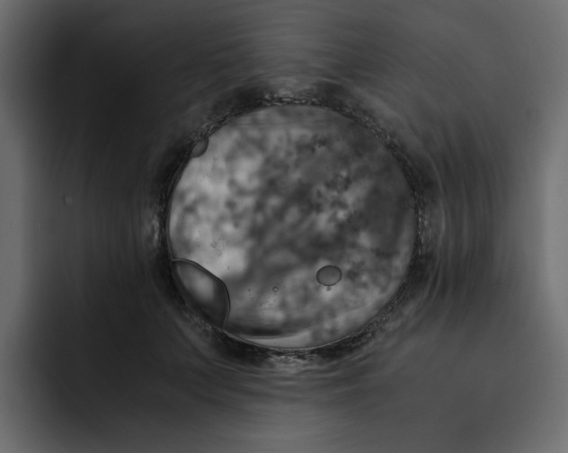 X0000092000703200710041008