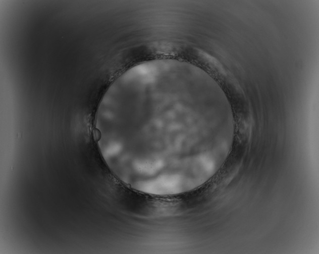 X0000092000707200710041008