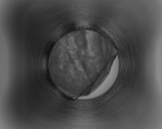 X0000092000708200710041008