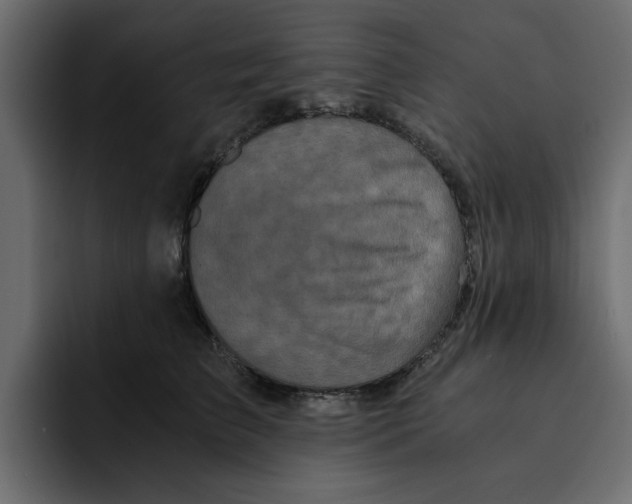 X0000092000709200710041007