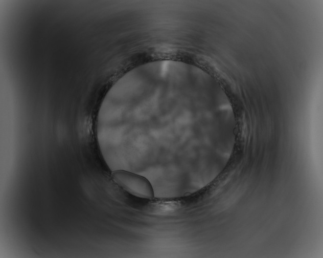 X0000092000711200710041007