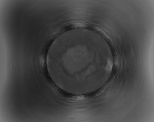 X0000092000715200710041007