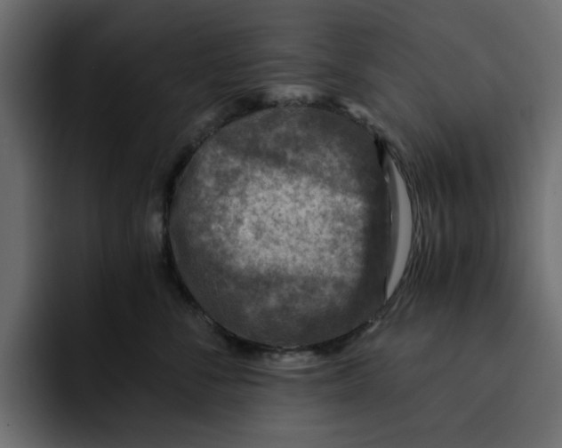 X0000092000716200710041007