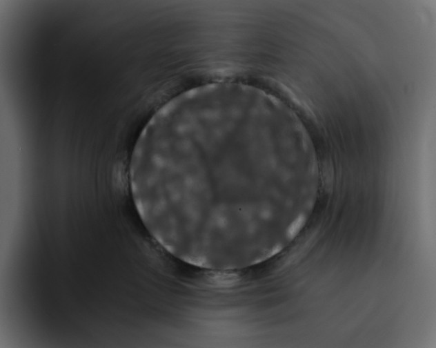 X0000092000719200710041007