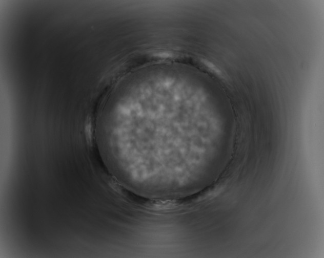 X0000092000720200710041007