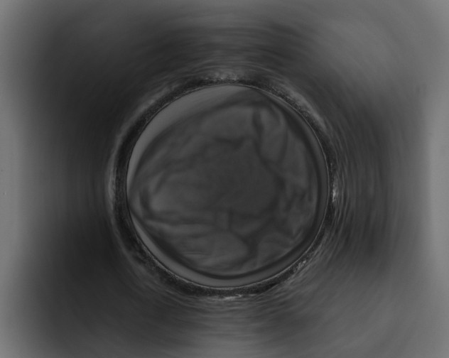 X0000092000722200710041007