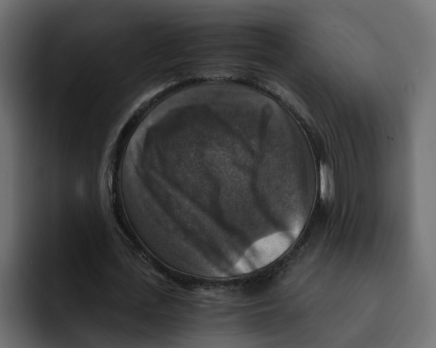 X0000092000723200710041007