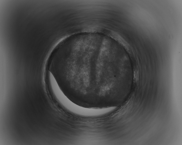 X0000092000724200710041007