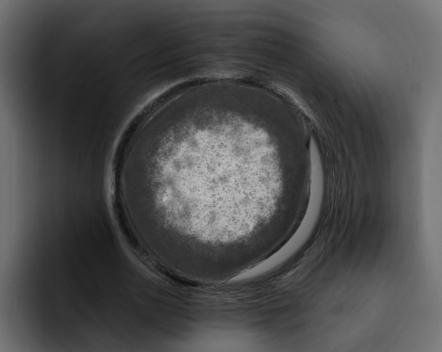 X0000092000726200710041007