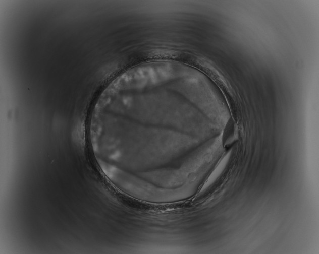 X0000092000729200710041007