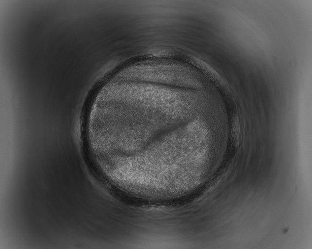 X0000092000730200710041007