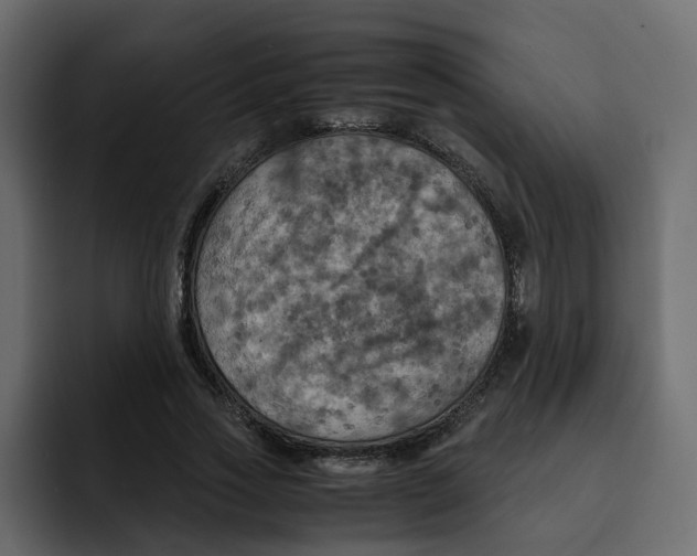 X0000092000733200710041007