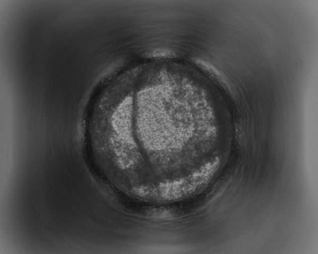 X0000092000735200710041007