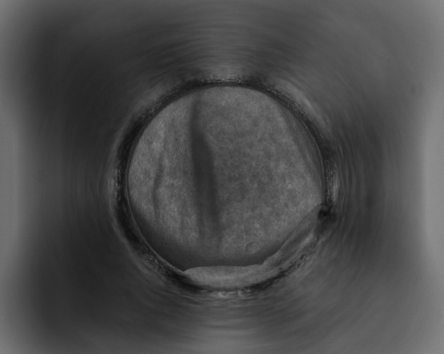 X0000092000736200710041007