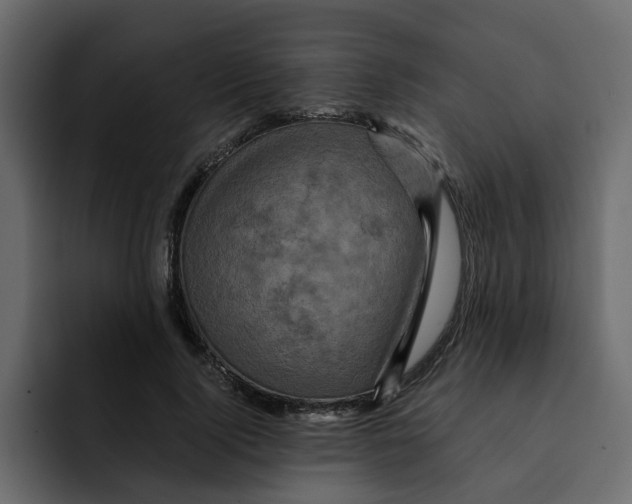 X0000092000740200710041007