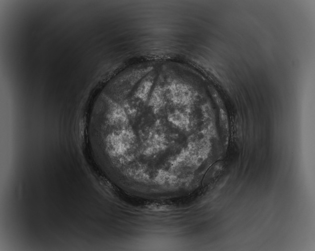 X0000092000742200710041007