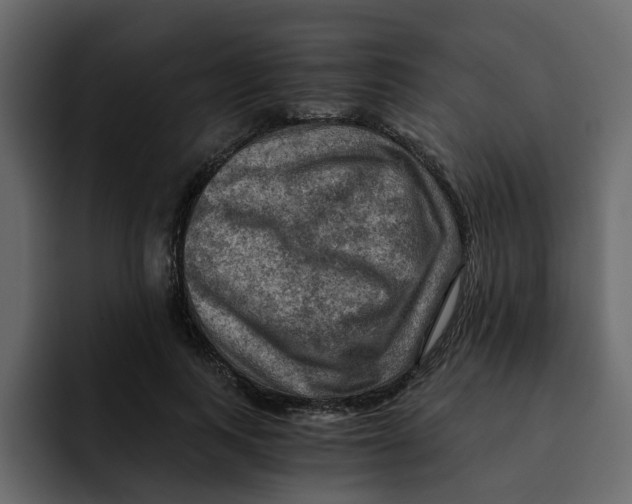 X0000092000743200710041007