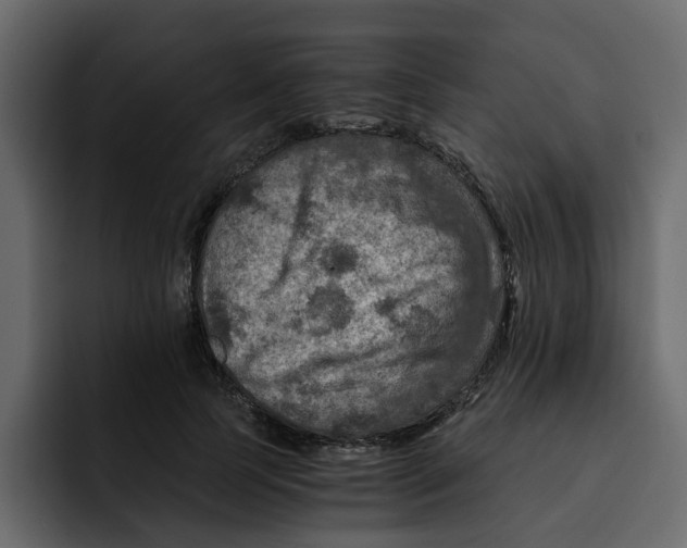 X0000092000745200710041007