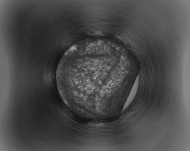 X0000092000747200710041007