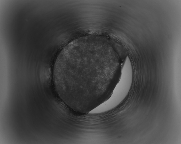 X0000092000748200710041007