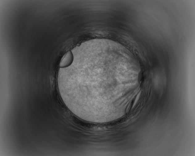 X0000092000749200710041007