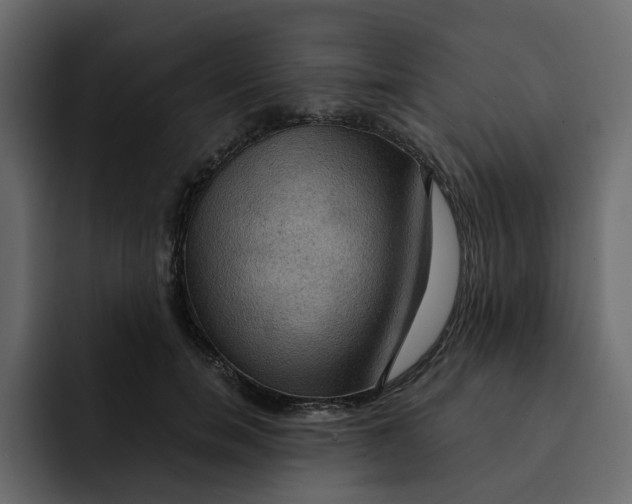 X0000092000750200710041007